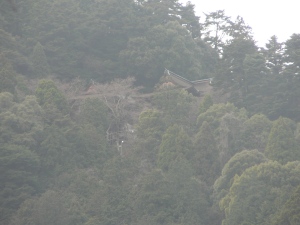 The top of Higashihongu.  This is where the Sanno Sai festival begins.